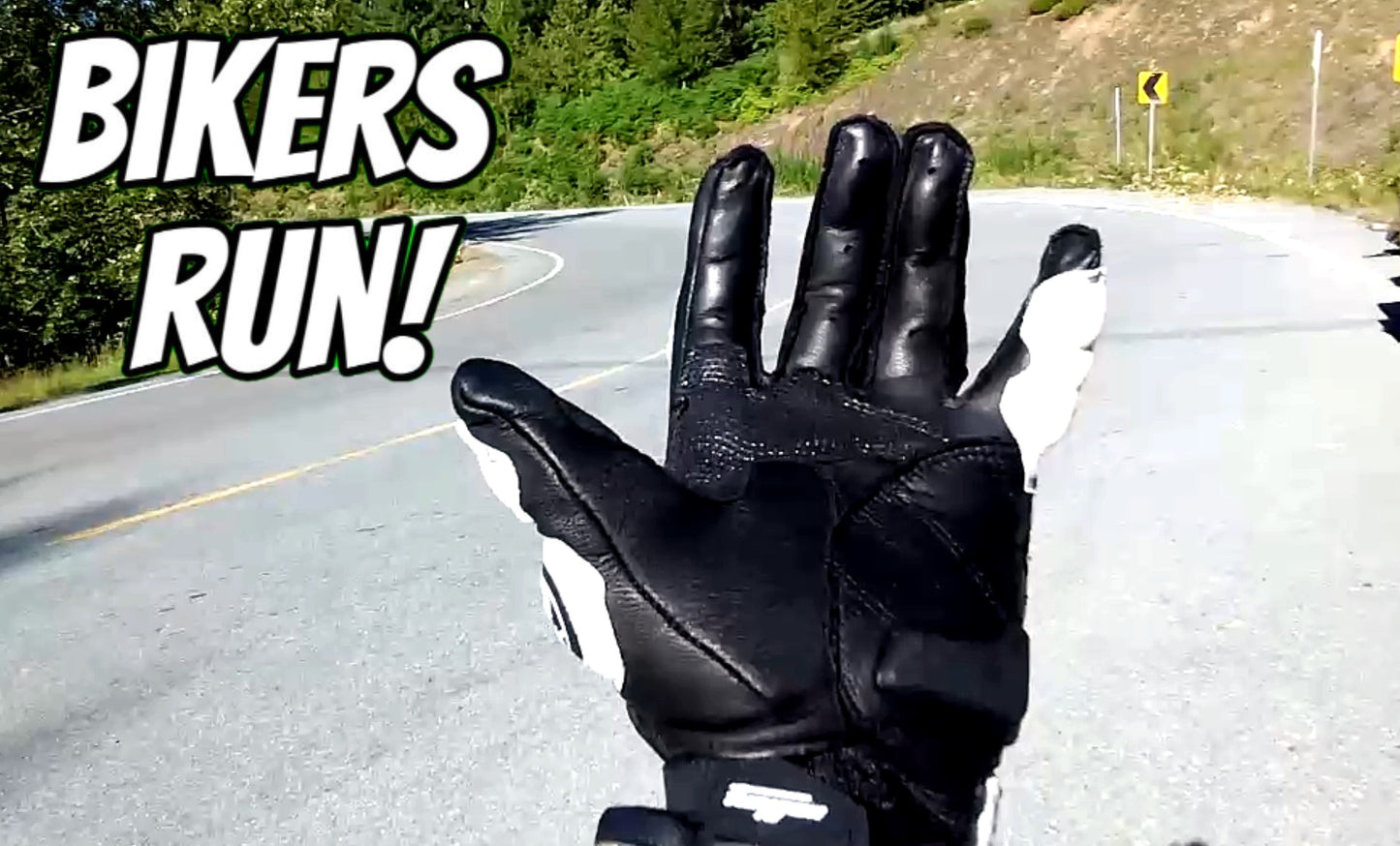 Biker's Run Pro12 Hi-Performance Leather Motorcycle Gloves